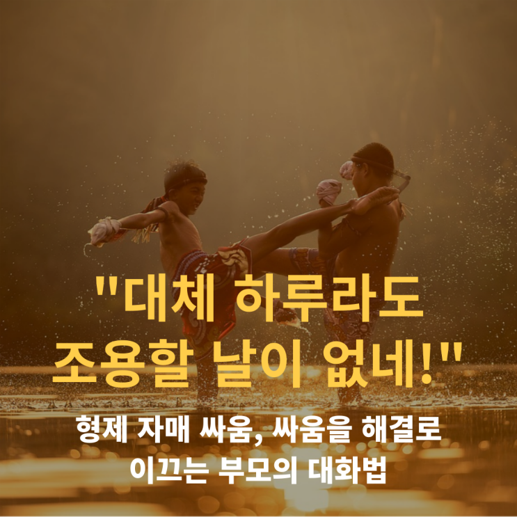  "형제 자매, 아이들 싸움, 언제 개입하고 어떻게 지도해야 할까요?"