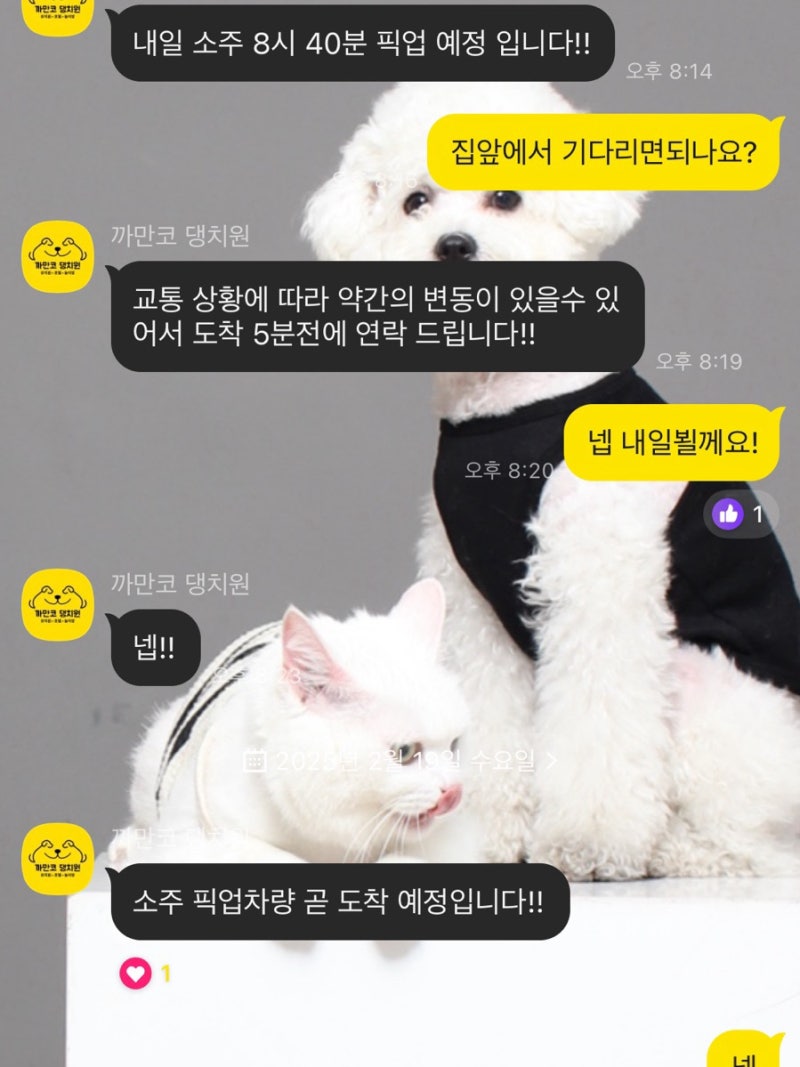 사진 2
