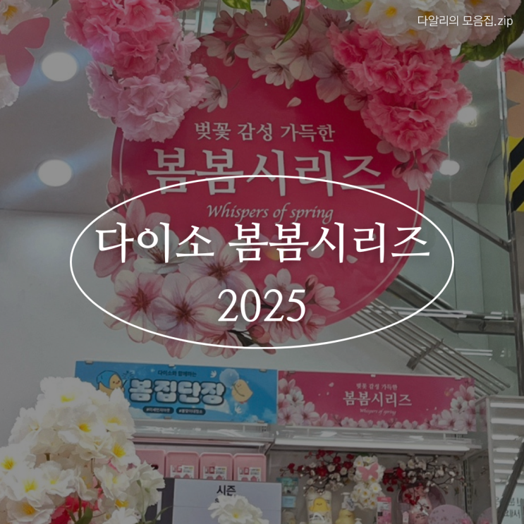  다이소 봄봄시리즈 2025 완전 정리! 이번 다이소 봄신상도 대란 예감