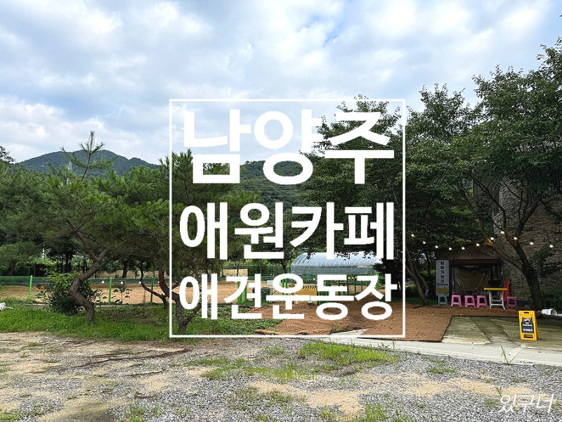 사진 3