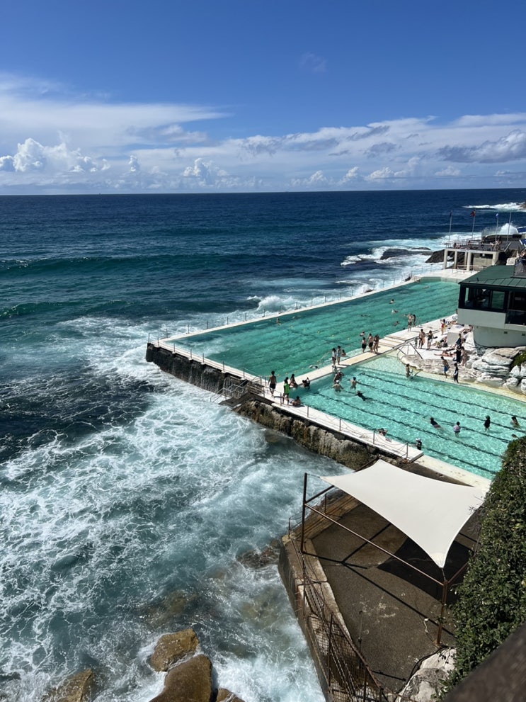  [시드니] 첫날부터 달려간 본다이비치 아이스버그(Bondi Beach Icebergs) / 뷰시드니(View Sydney) 호텔