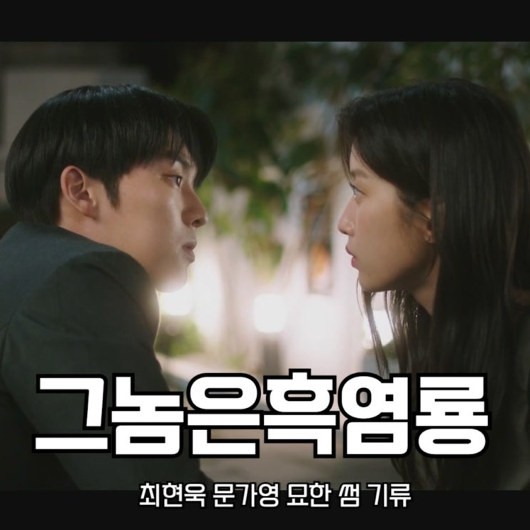 그놈은 <b>흑염룡</b> 4회 <b>최현욱 문가영</b> 묘한 썸 기류 tvN 월화드라마