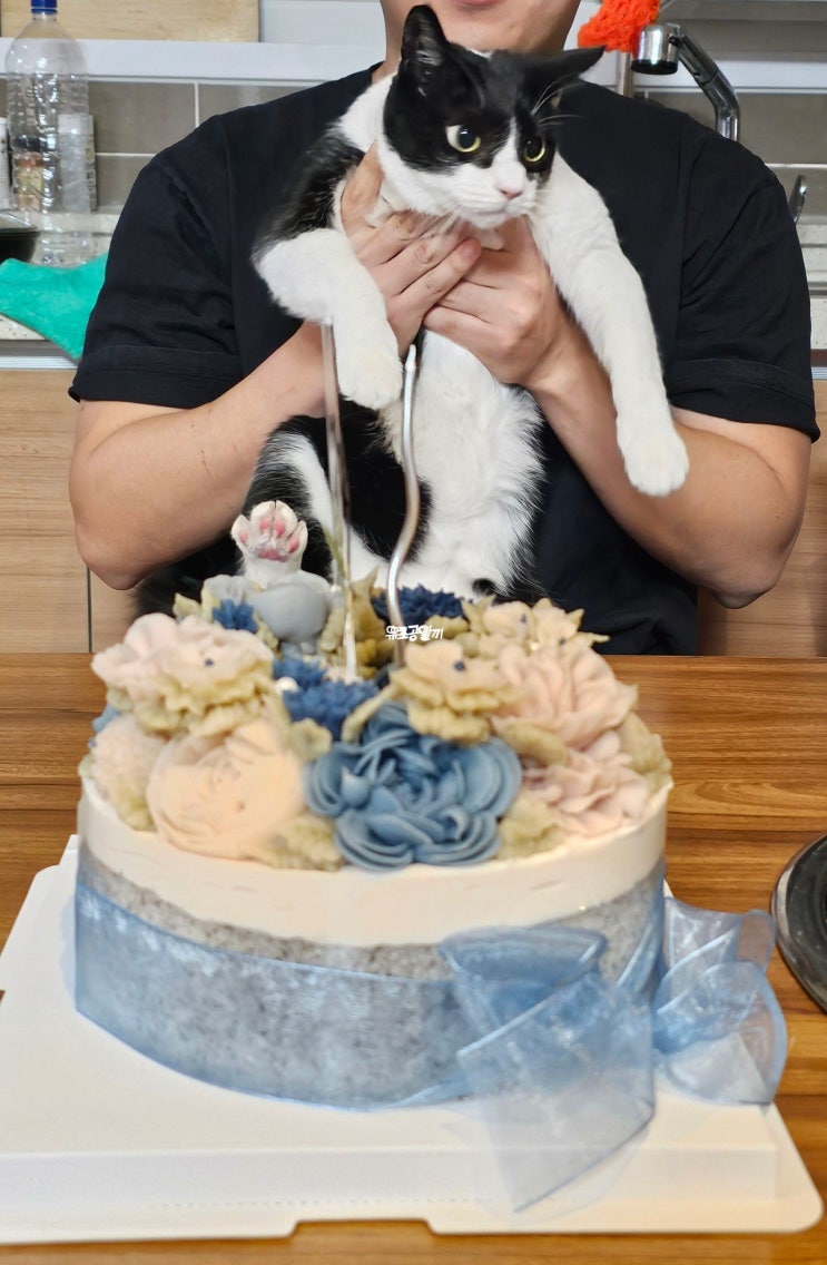  정자 떡케이크 맛집 | 이로울리떡공방 재주문 후기