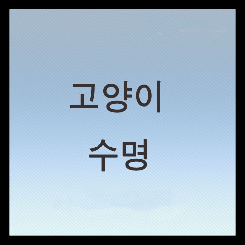  고양이 강아지 수명 및 입양 꿀팁