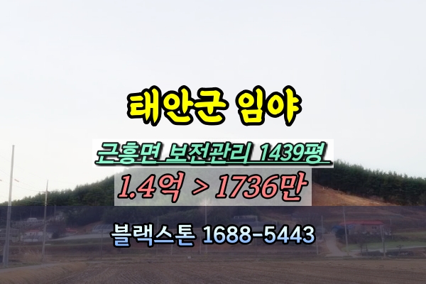  태안군 임야 1천평 경매 근흥면 마금리 2천만원 [2023타경58914]