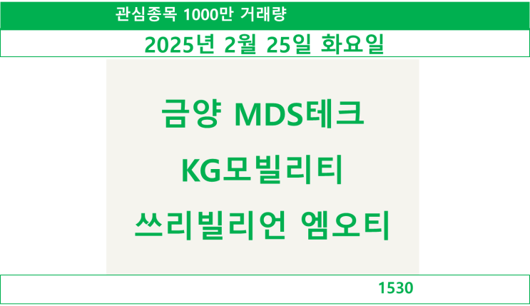  1000만 거래량 관심종목 2025년 2월 26일 수요일