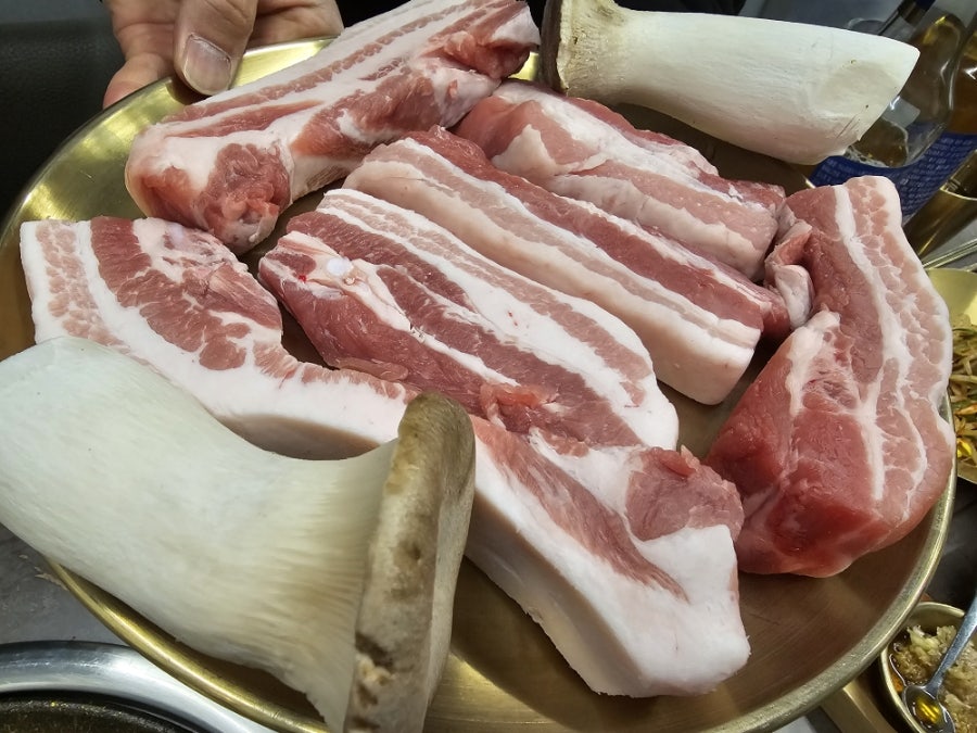 탐라꿀순이 사진 4