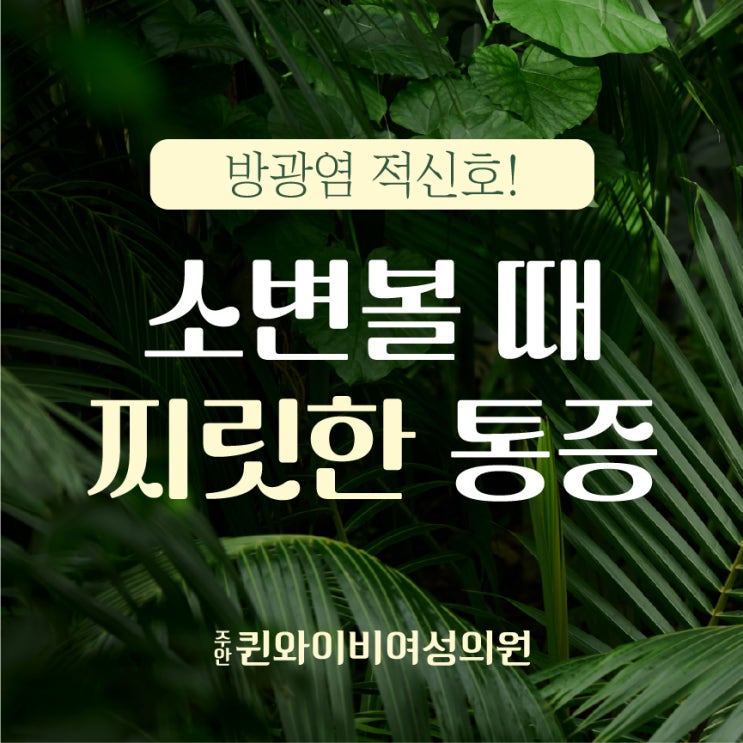  인천방광염 치료 여성 전용 비뇨 산부인과에서