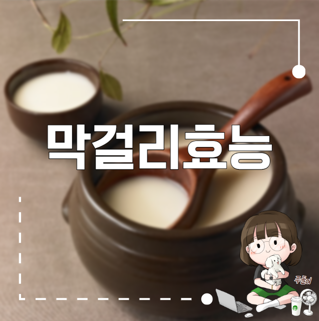 막걸리식초효능 막걸리효능 다양한 장점