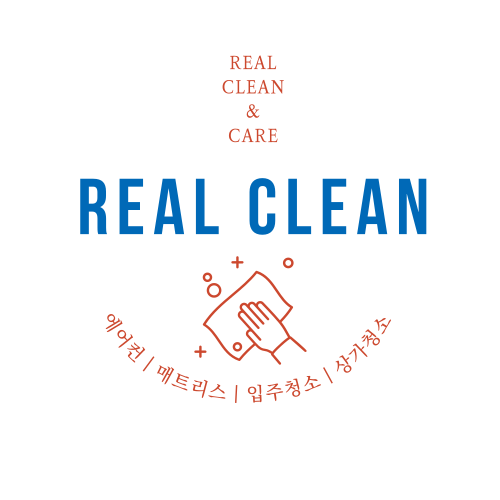  REAL CLEAN