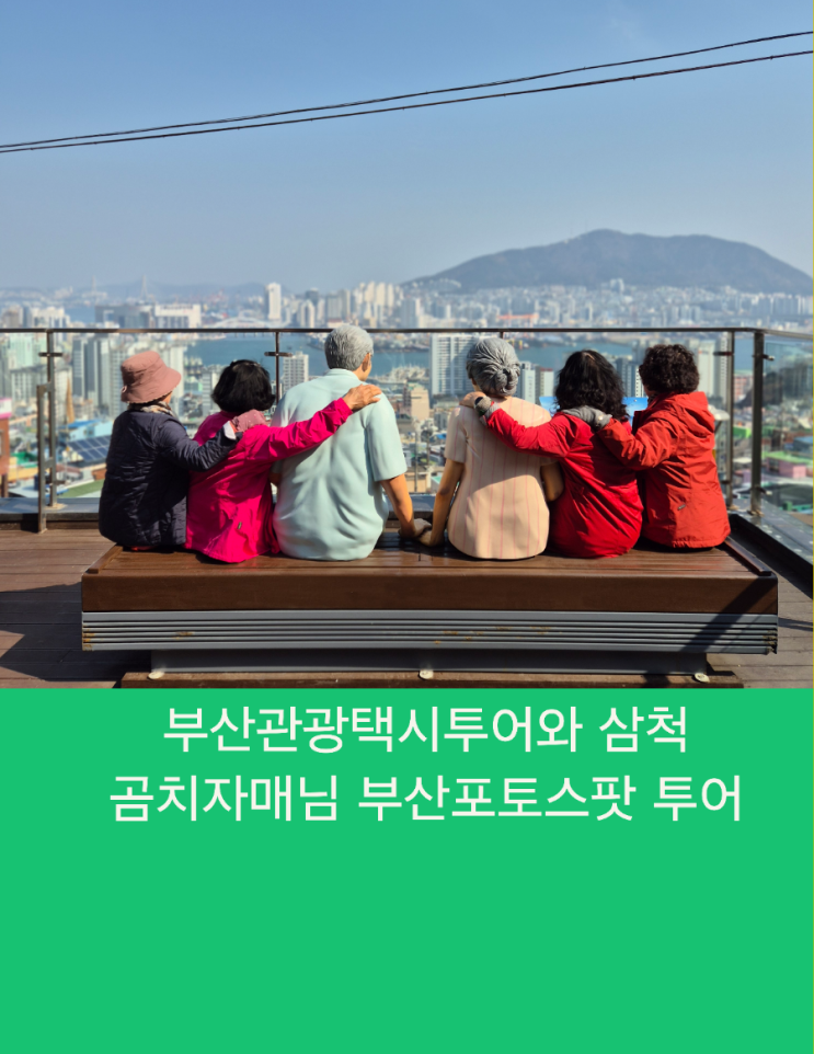  부산관광택시투어와 삼척 곰치자매님 부산포토스팟 투어