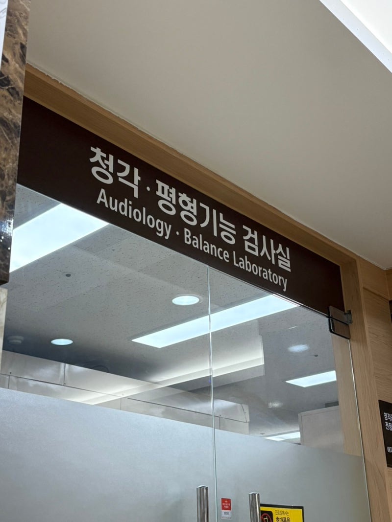 돌발성 난청 이명 증상/원인/약물 치료/대학병원 검사