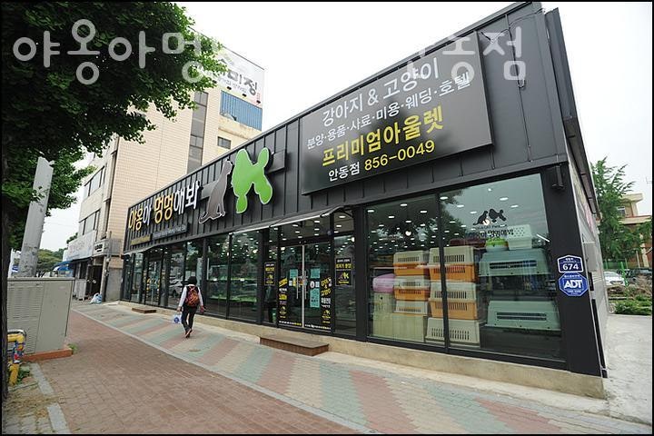 야옹아멍멍해봐 안동점