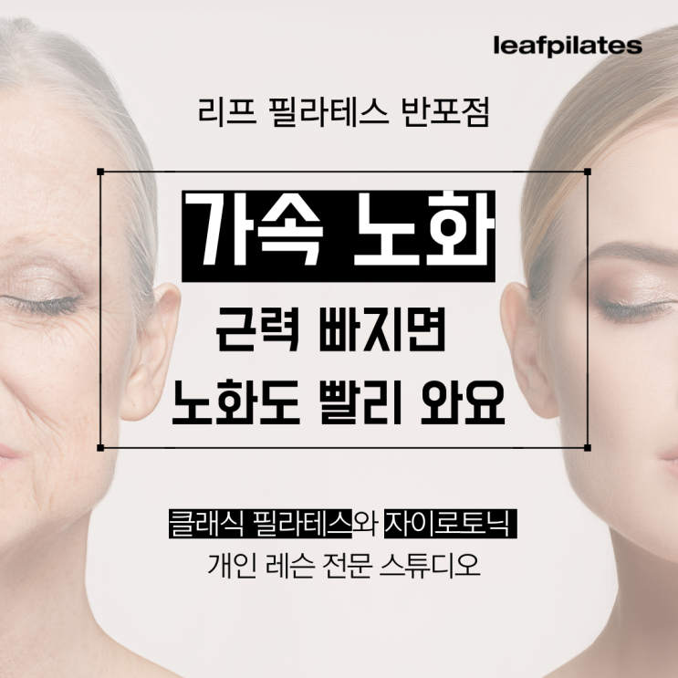  [원베일리 필라테스] 근력 약해지면 '가속노화'옵니다/ 반포필라테스 리프