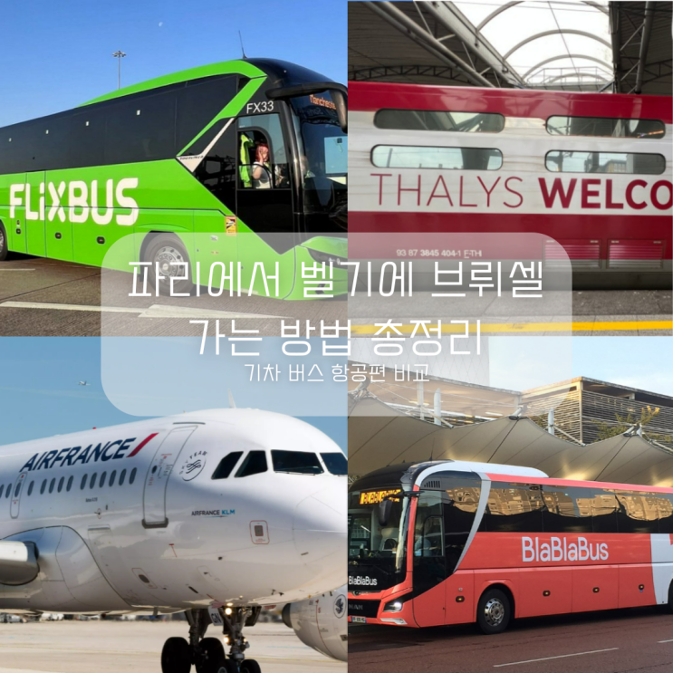  파리에서 벨기에 브뤼셀 가는 방법 총정리 기차 버스 항공편 비교