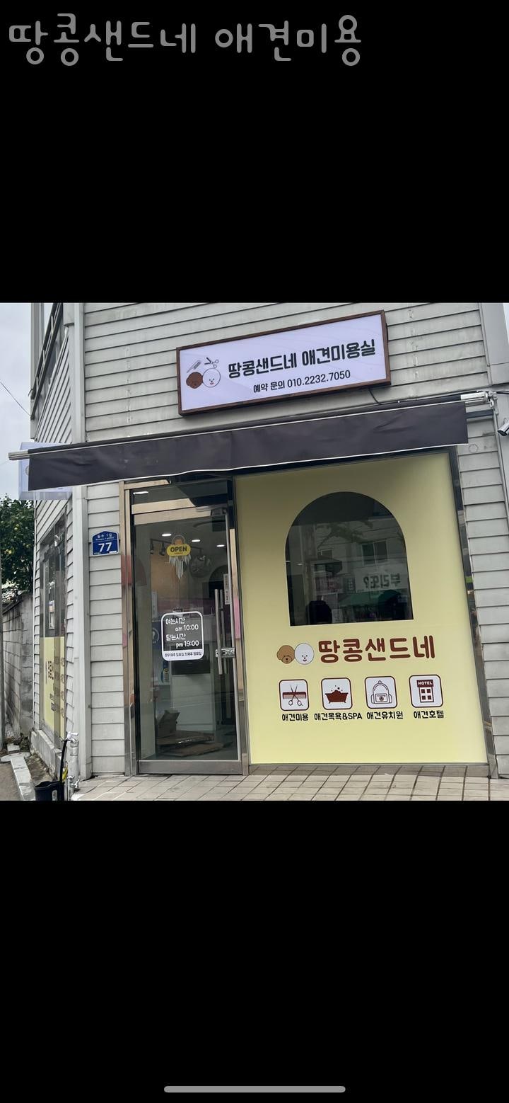 땅콩샌드네 애견미용