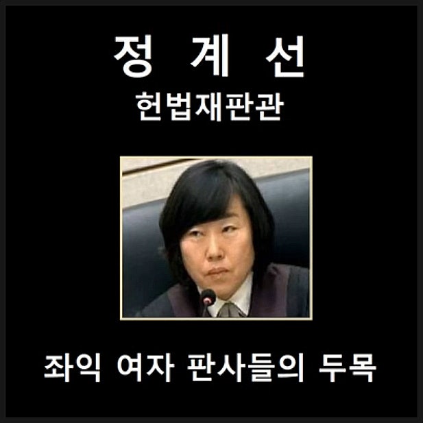유튜브 보안사 채널 정계선 헌법재판관 서부지법 악마그림 영상 유튜브 보안사 채널 정계선 헌법재판관 서부지법 악마그림 영상