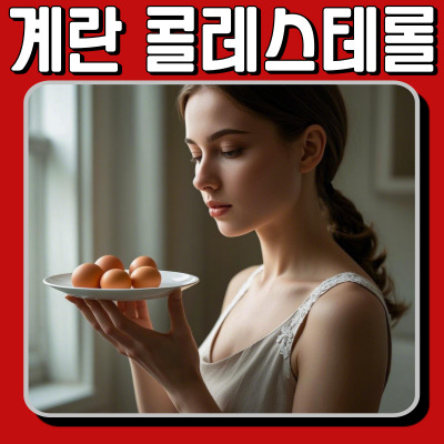 계란으로 콜레스테롤 낮추는 방법! 건강하게 먹는 법 총정리