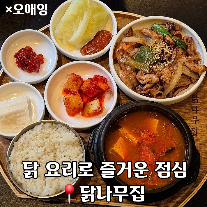  점심부터 운영하는 동탄북광장 술집,닭요리 전문점 닭나무집