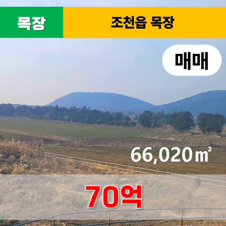 《제주도목장매매》 제주시 조천읍 목장 매매