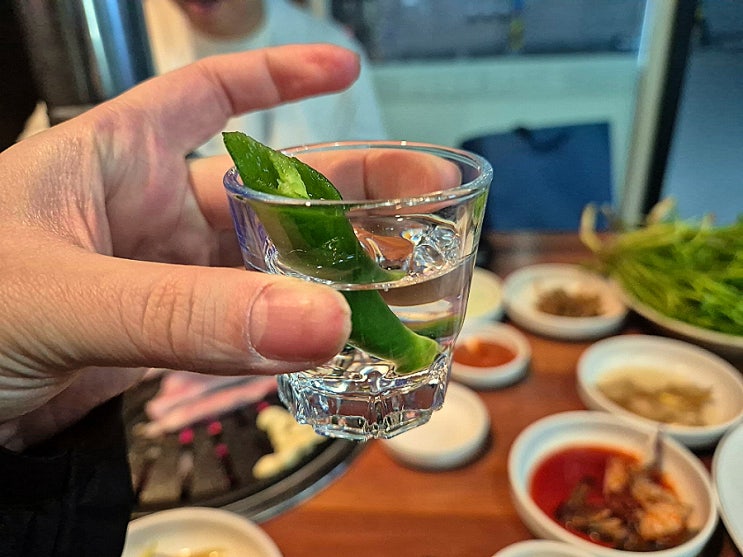  사서의 2월 몰아보기
