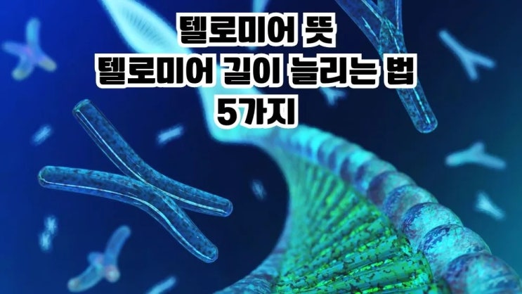  텔로미어 뜻 텔로미어 길이 늘리는 법 5가지 검사