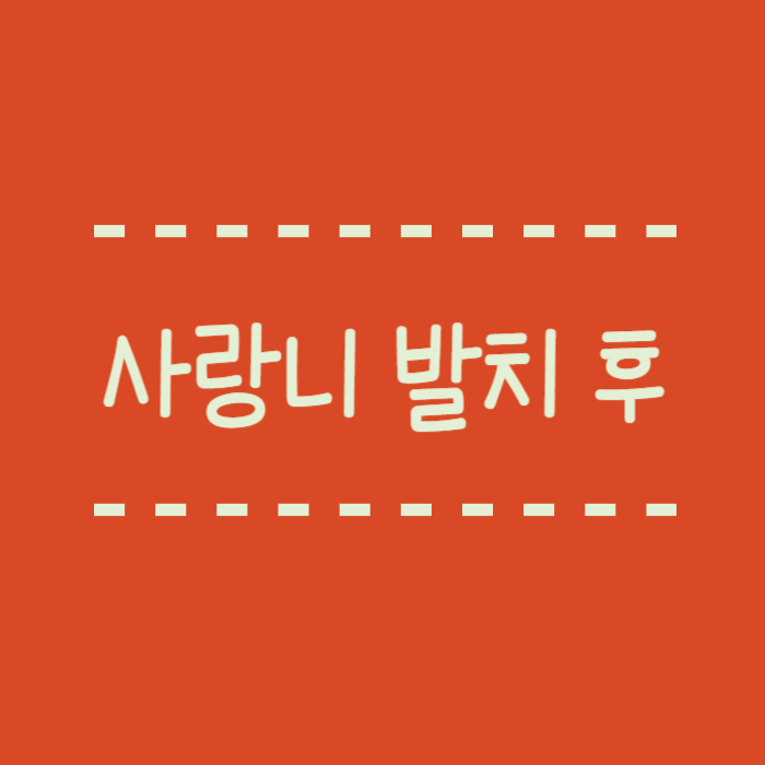  사랑니 발치후 언제부터 식사 가능 커피, 술, 몇시간