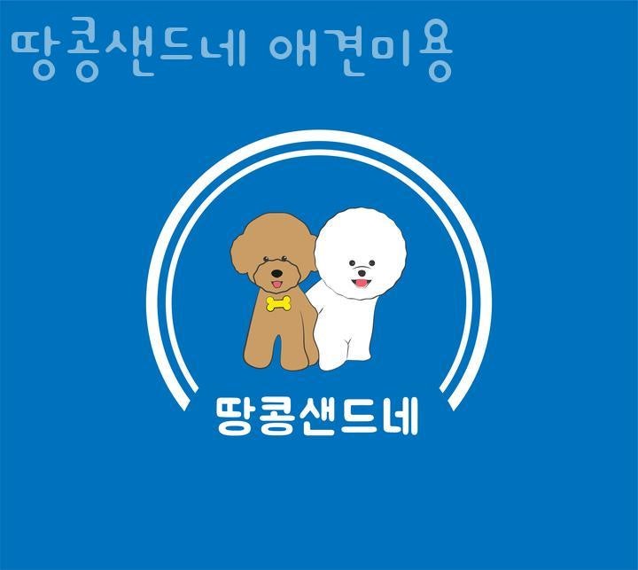 사진 2