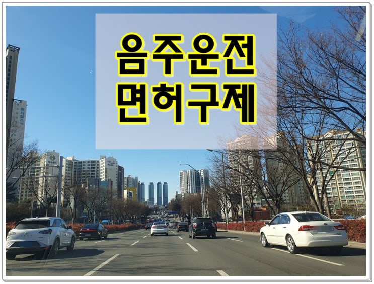  직장인 음주운전 0.093% 수치 결격기간 줄이고 싶다면 구제는