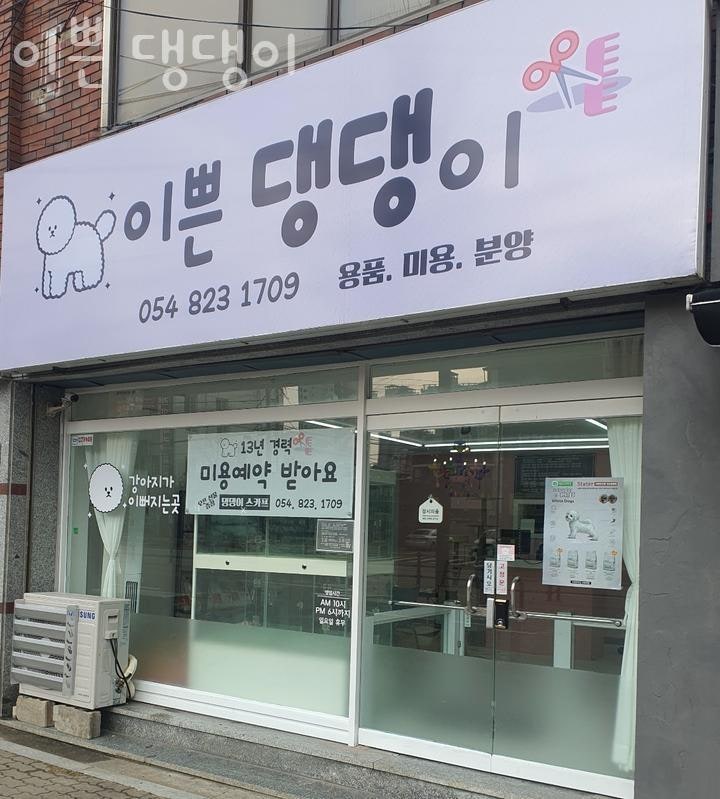 이쁜 댕댕이