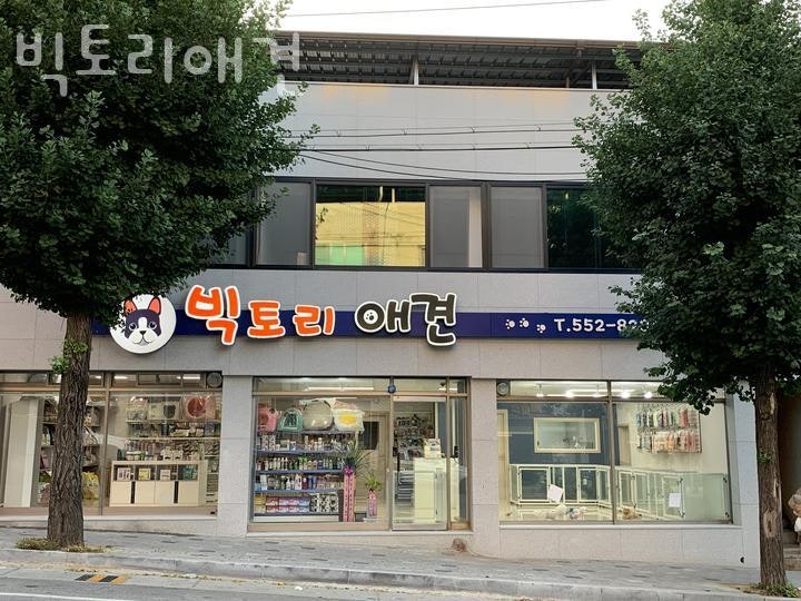 사진 2