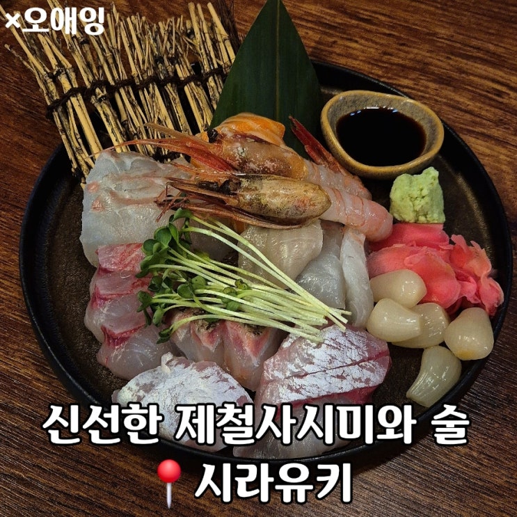  제철사시미 맛집,동탄 북광장 이자카야 시라유키
