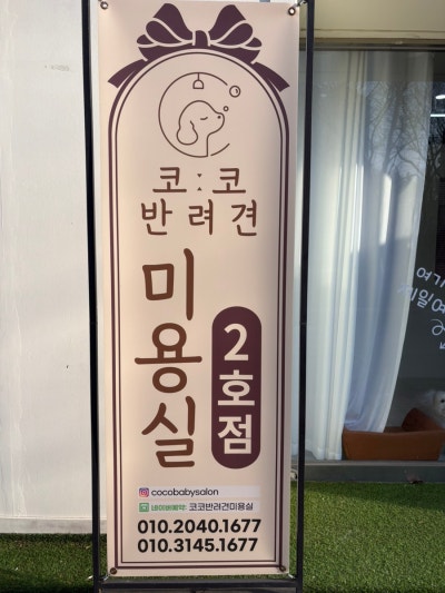 사진 3