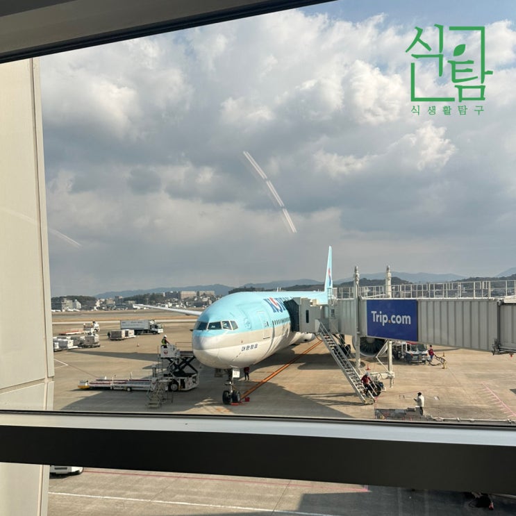  후쿠오카 여행 - 텐진역 지하상가 돈키호테 신텐초 스시킨