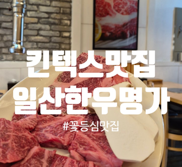  [킨텍스맛집] 일산 한우명가에서 즐긴 든든한 꽃등심정식!