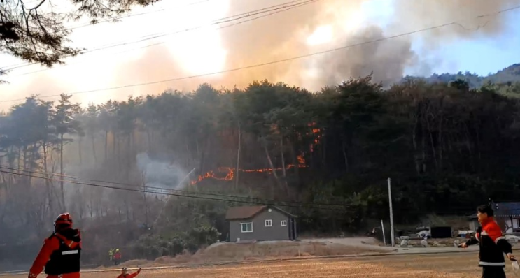 <b>경북</b> 울진 <b>산불</b> 3시간 만에 <b>진화</b>…헬기 20대 집중 투입