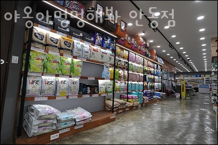 사진 2