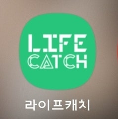 [내돈내산 정보통통] 라이프캐치 보험 청구