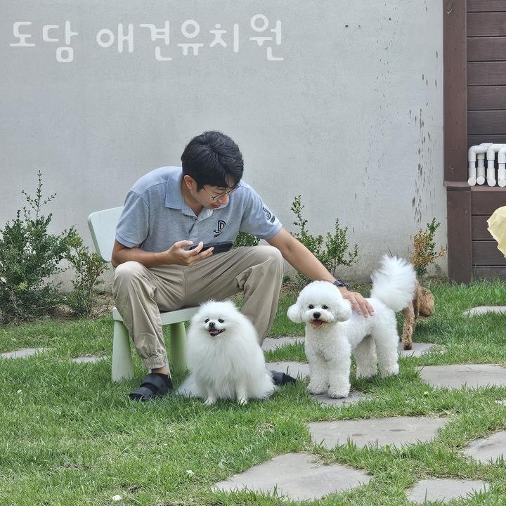 사진 2
