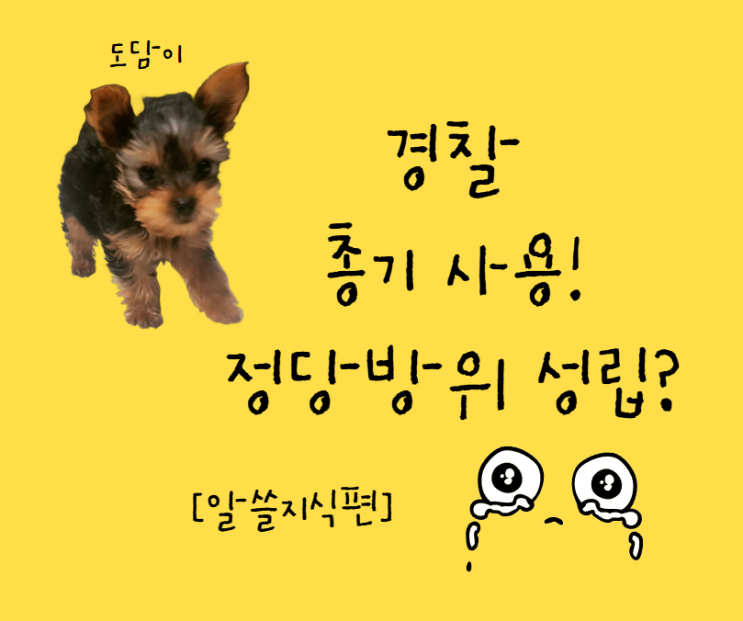 <b>경찰</b>의 총기 사용, <b>정당방위</b>인가? 대법원 판례 분석