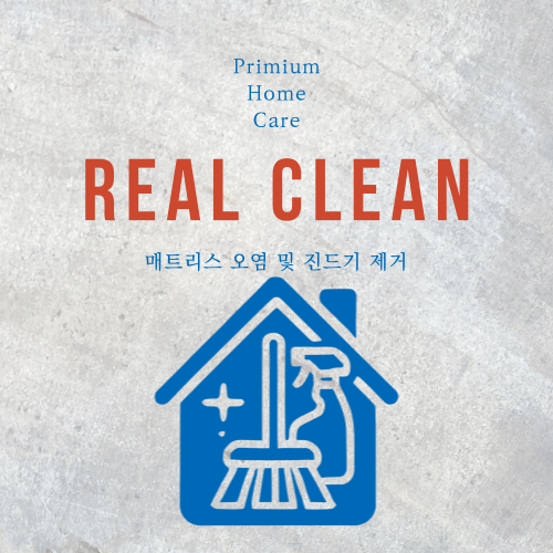  REAL CELAN 청소
