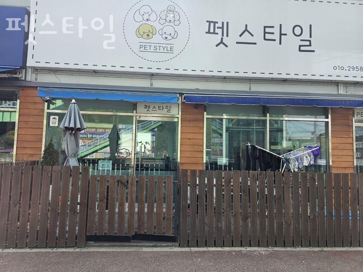 사진 2