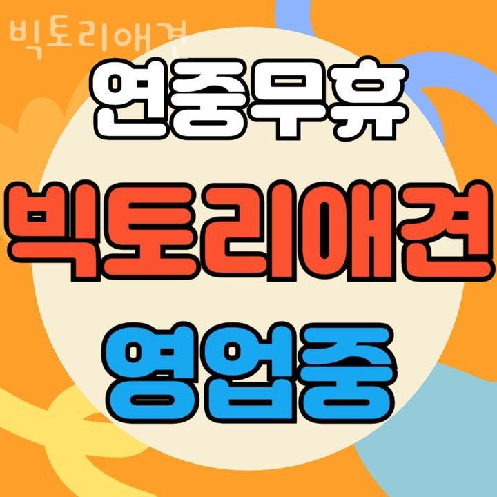 빅토리애견