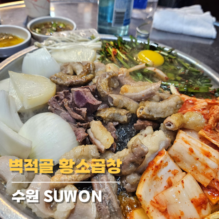 수원 망포역 곱창 탑티어 벽적골 황소곱창 후기 수원 망포역 곱창 탑티어 벽적골 황소곱창 후기