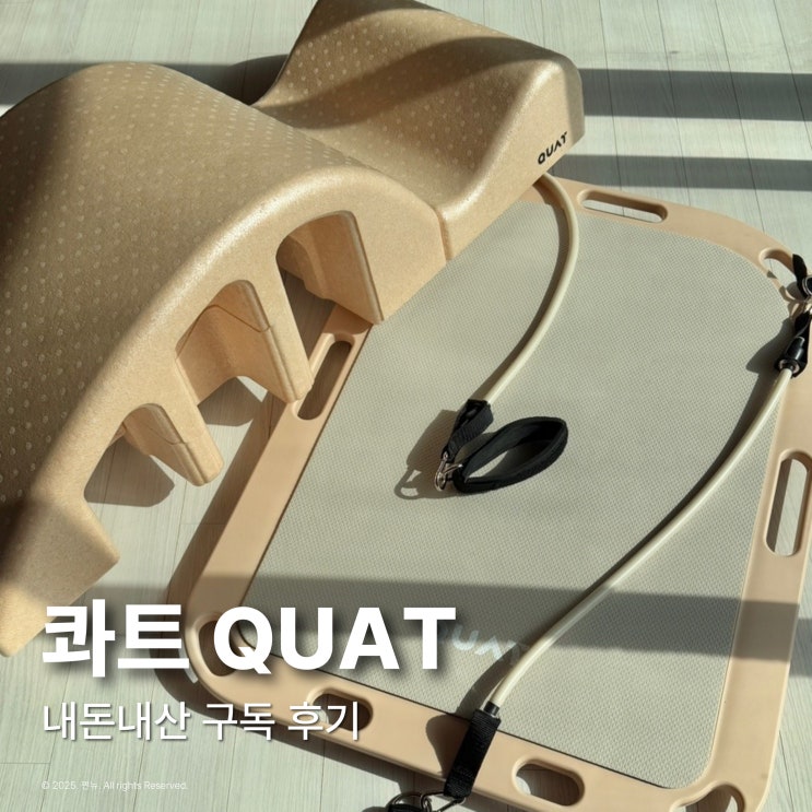  콰트 내돈내산 홈트 운동기구 바로폼 바로보드 한 달 후기
