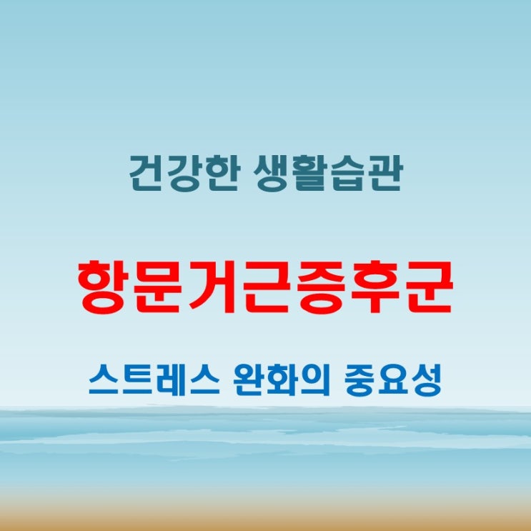  항문거근증후군 지속될 때 생활 속 관리법 정리