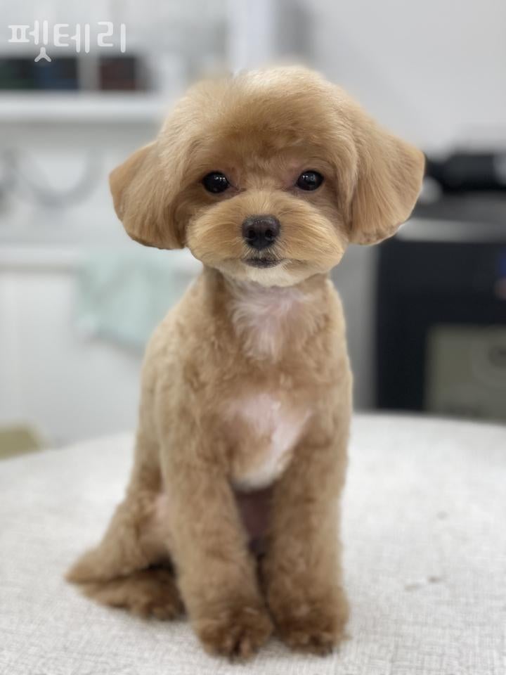 사진 2