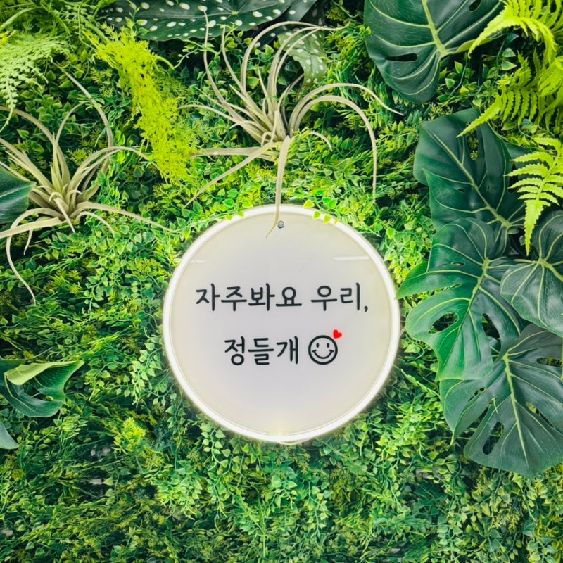 사진 2