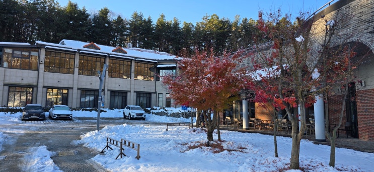  이천 숙소 에덴파라다이스 숙박하고 세상의 모든 아침에서 조식 먹고