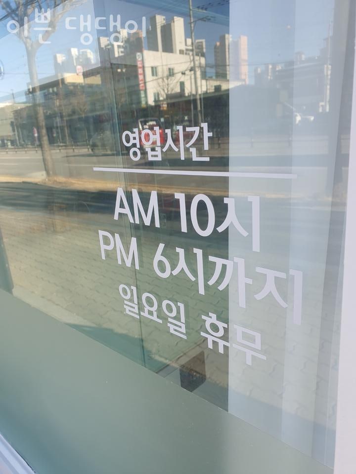 사진 2